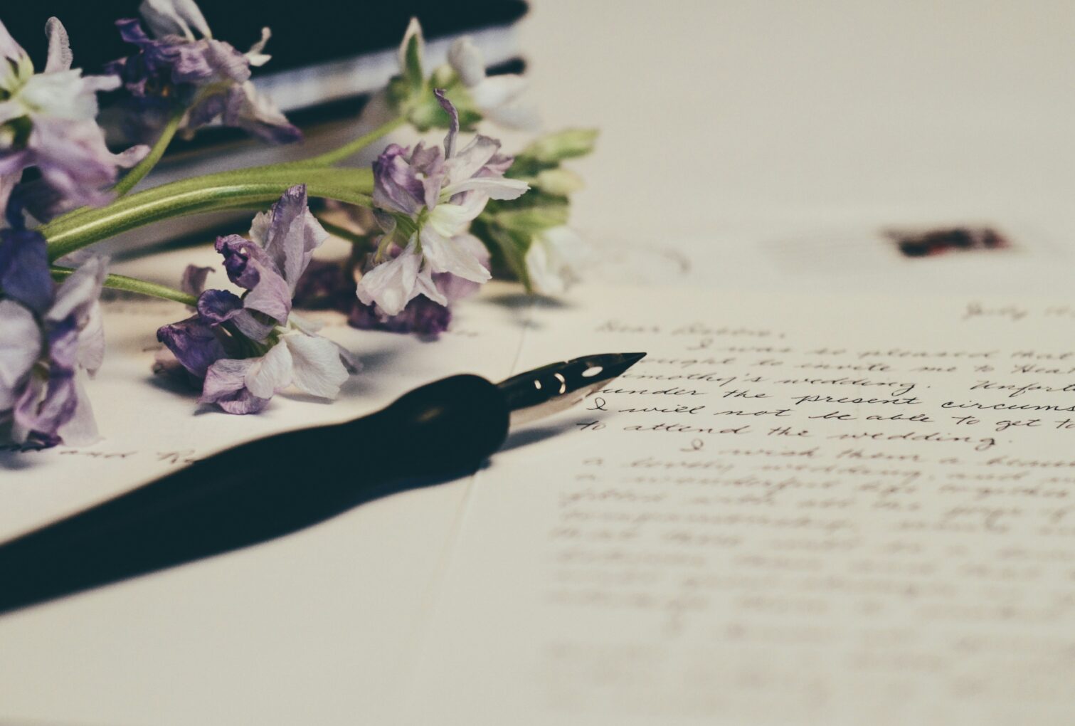 fountain pen
